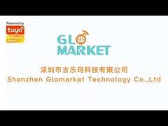 투야 지그비 게이트웨이